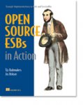 Open_Source_ESB.jpg